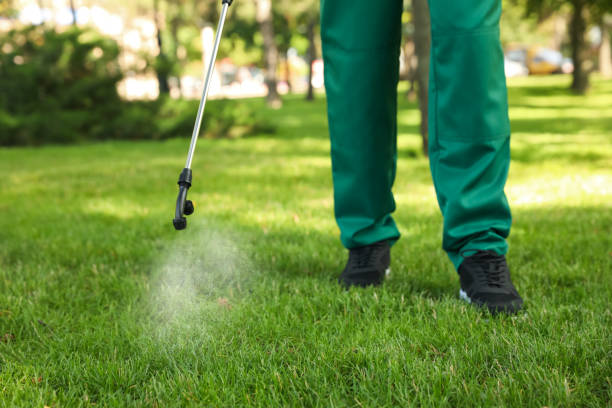 Best Commercial Pest Control Services  in Wedgefield, FL