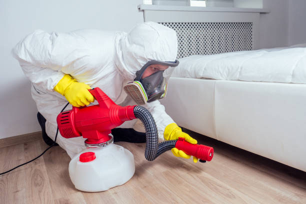Best Flea Control Services  in Wedgefield, FL