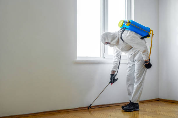 Best Pest Control Treatment  in Wedgefield, FL
