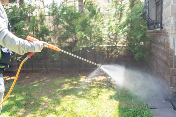 Best Rat Extermination Near Me  in Wedgefield, FL