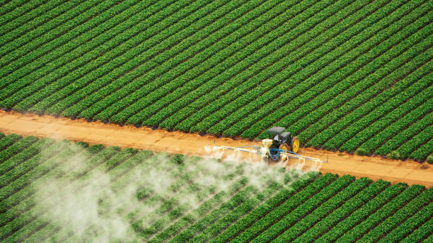 Pest Prevention Services in Wedgefield, FL