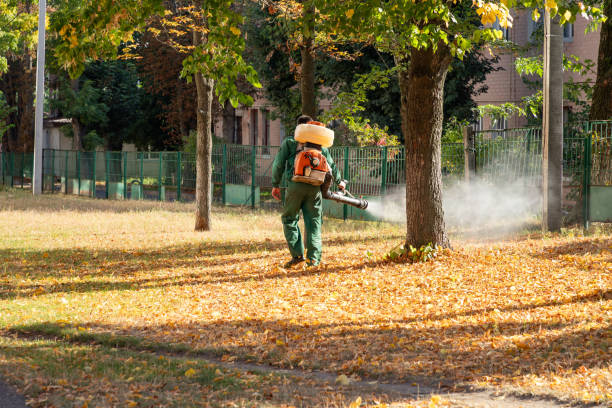 Trusted Wedgefield, FL Pest Control Experts