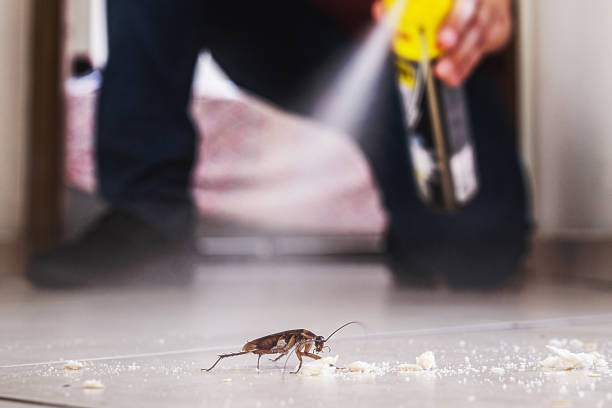 Best Emergency Pest Control  in Wedgefield, FL