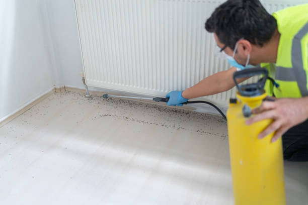 Best Affordable Pest Control Services  in Wedgefield, FL