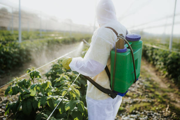 Best Pest Prevention Services  in Wedgefield, FL